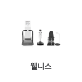 웰니스